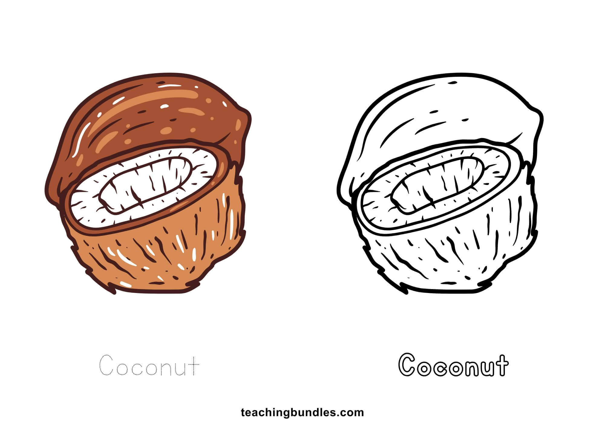 Ccopy Coluring Copy Coloring Booklet - Teachingbundles