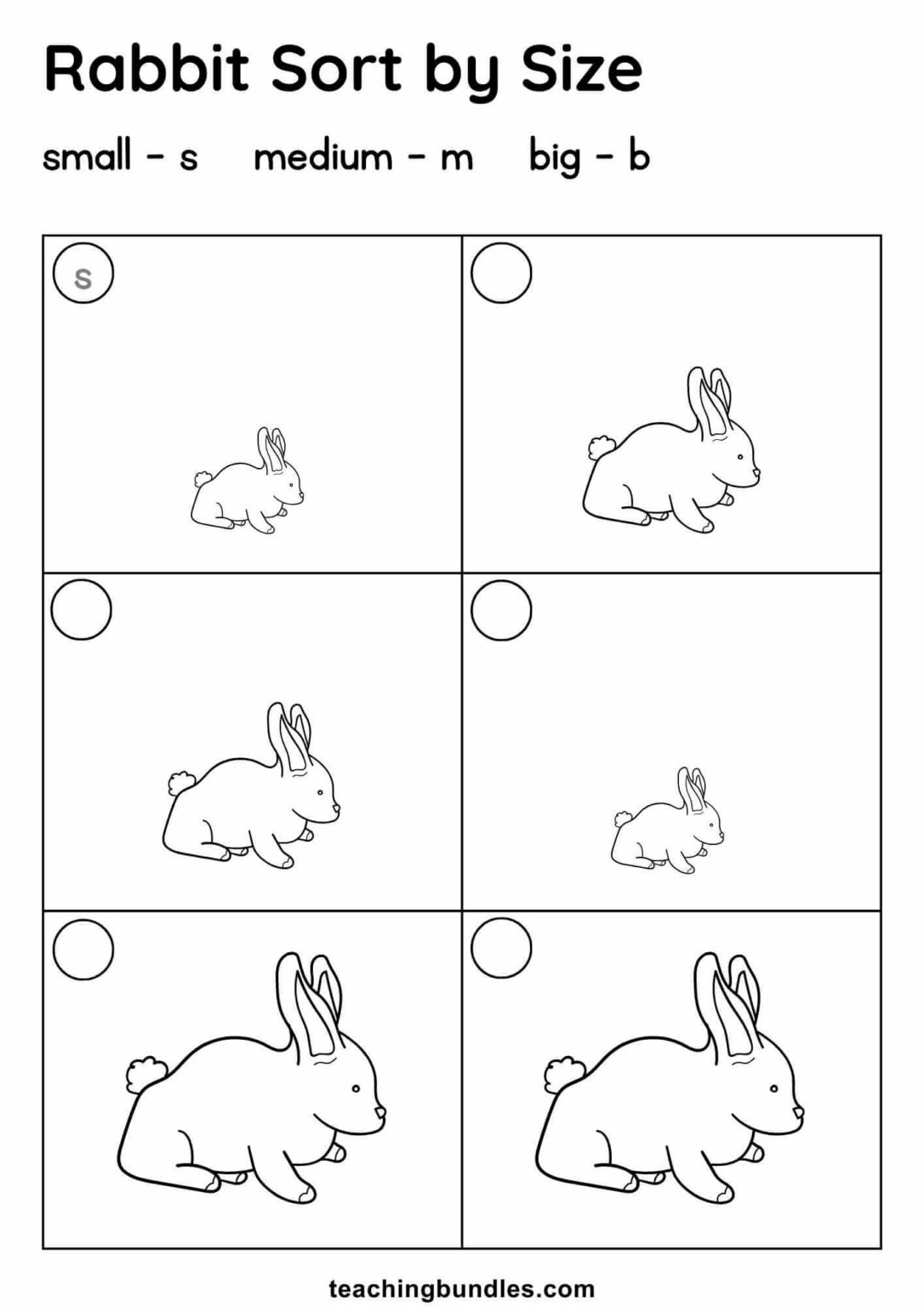 Sort by Size Worksheets - Teachingbundles