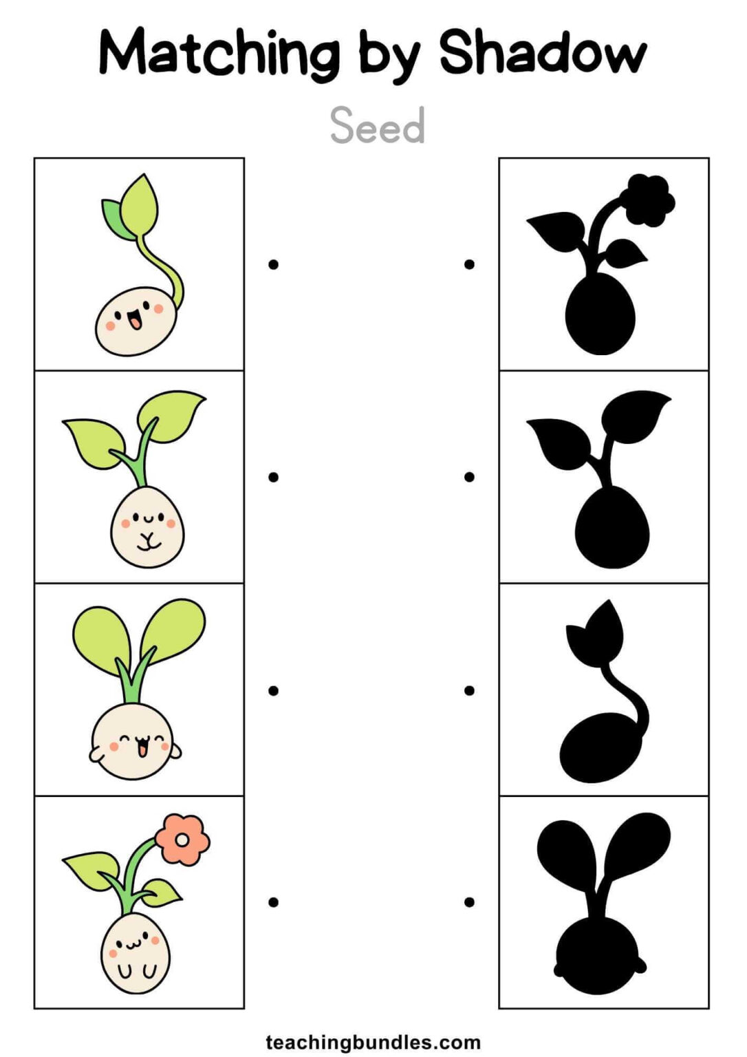 Spring Shadow Matching Worksheets - Teachingbundles