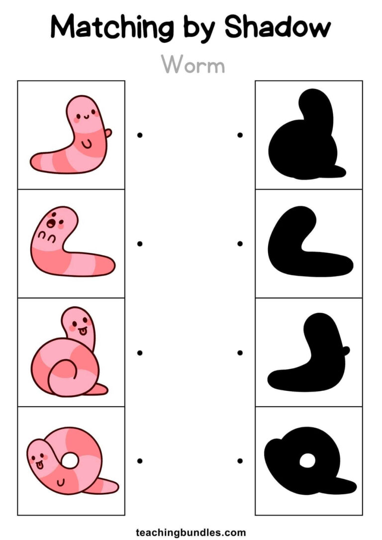Spring Shadow Matching Worksheets - Teachingbundles