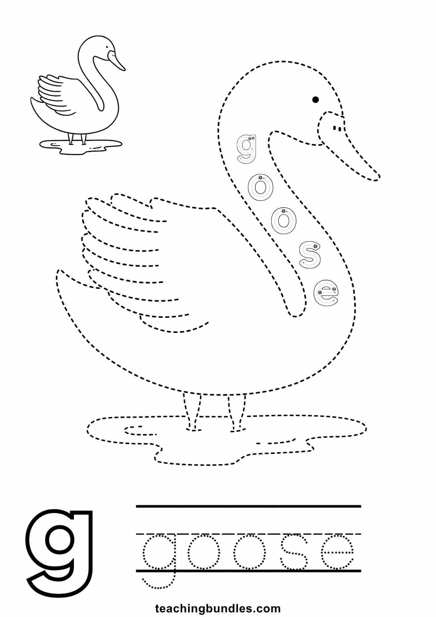Goose picture tracing practice sheet