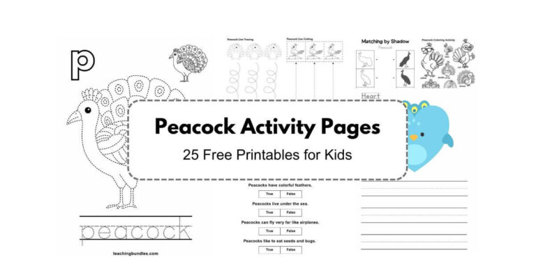 Peacock printable activity games and worksheets