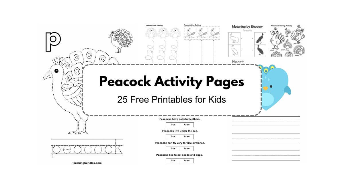 Peacock printable activity games and worksheets