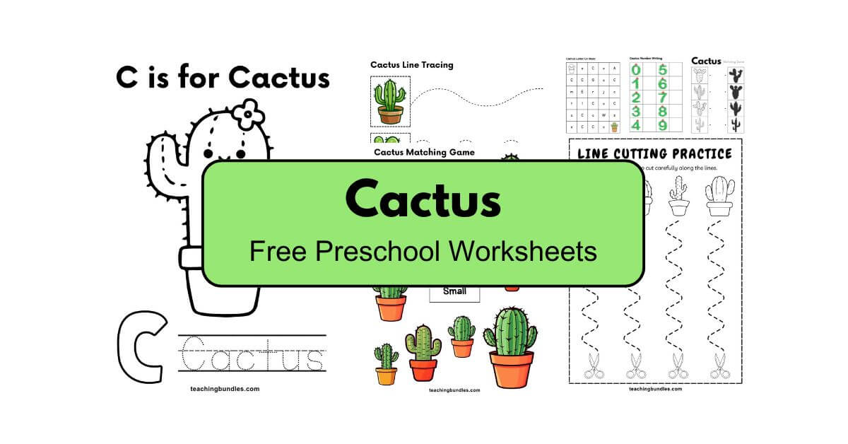 Engaging cactus activity worksheets for preschool kids