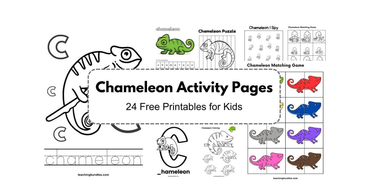 Engaging chameleon worksheets designed for little learners to enjoy tracing, coloring, and matching.
