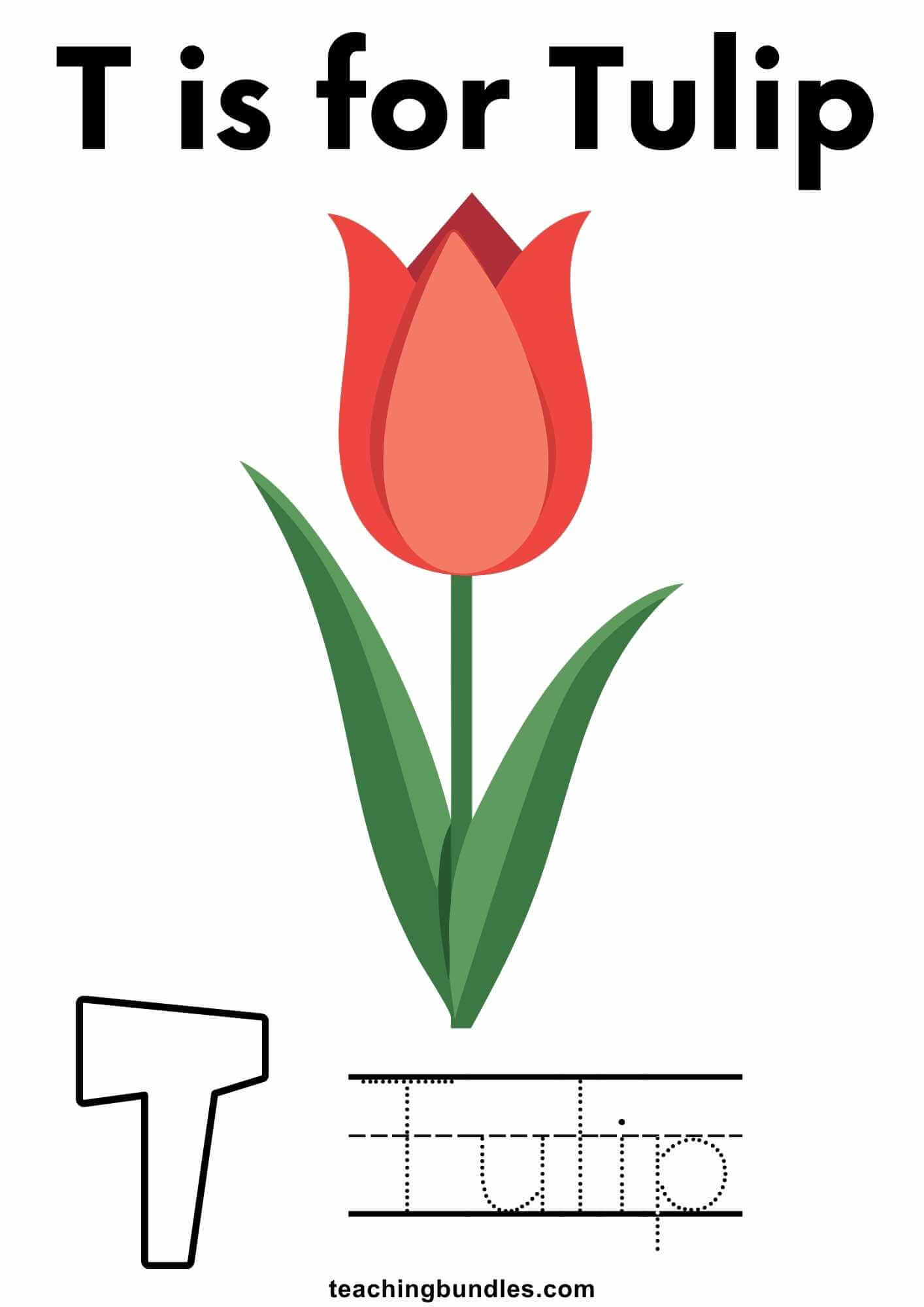 T is for Tulip Printable for Kids