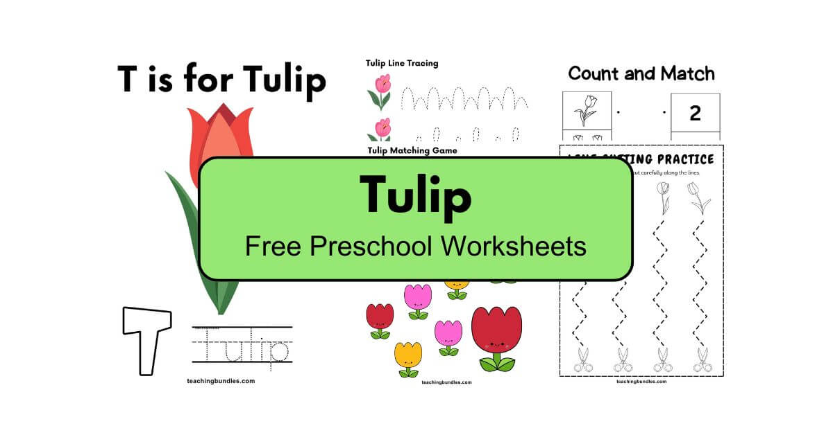 Tulip Theme Activity Worksheets for Preschoolers