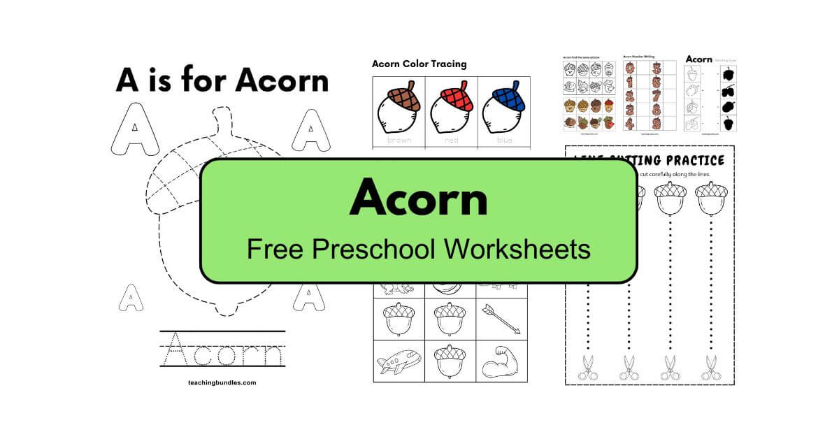Acorn Preschool Activity Worksheets Printable