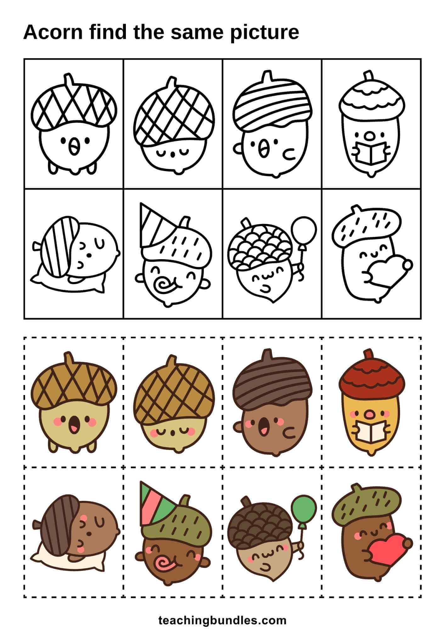Acorn Match Activity for Students