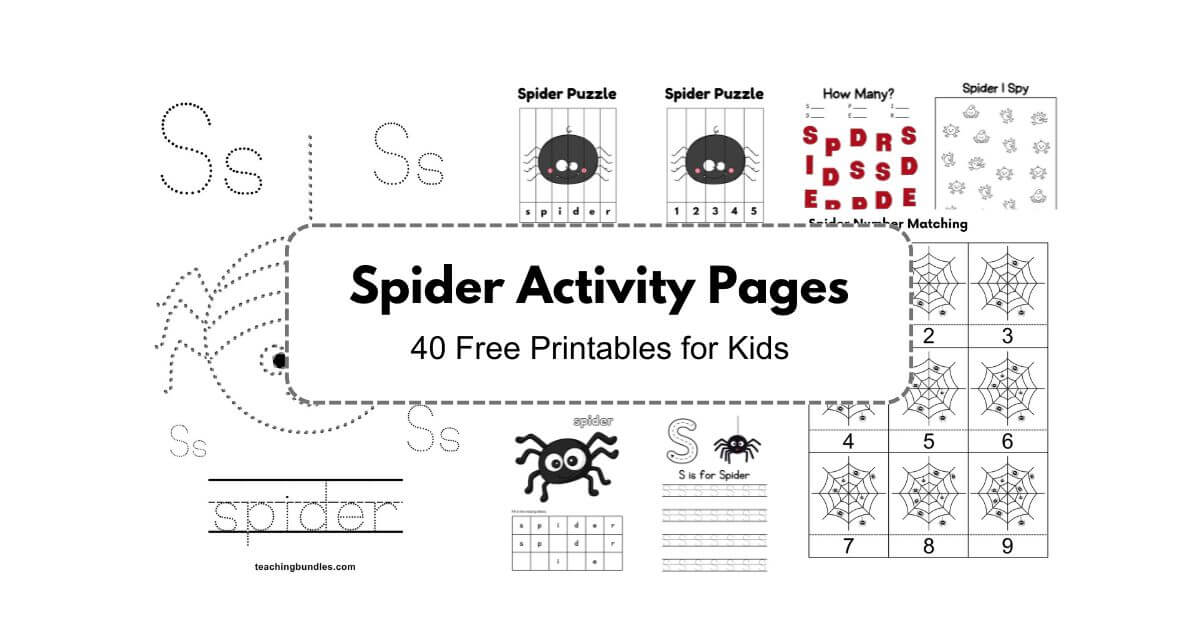 No prep spider preschool activity worksheets bundle