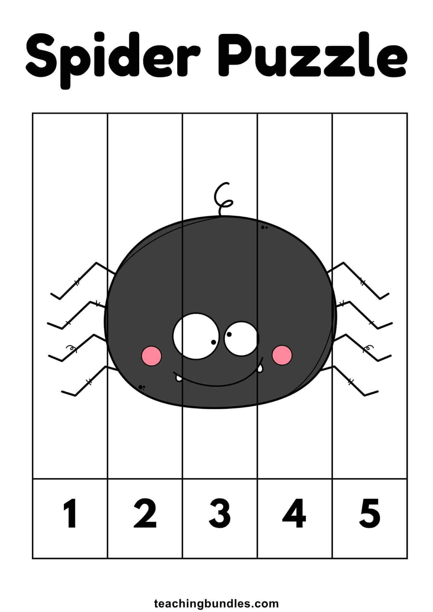 Spider Educational Puzzle Games